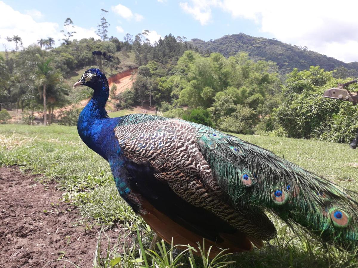 Hotel Rural Sitio Do Sol Guabiruba المظهر الخارجي الصورة